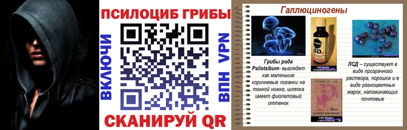 Псилоцибиновые грибы мицелий  наркота  маркетплейс состав  Бронницы 